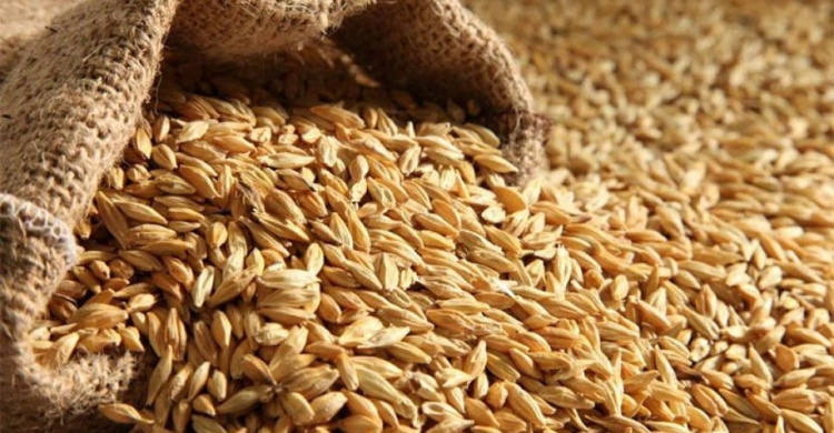 МЗС закликає країни світу не купувати у росії вкрадене українське зерно