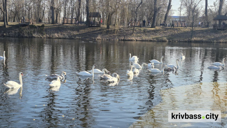 Криворізький вікенд: як провести час з родиною у Великодні вихідні