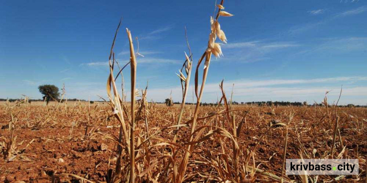 фото з відкритих джерел 
