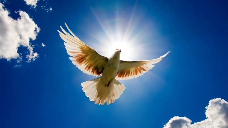 Благовіщення 25 березня: підготовка до свята та важливі заборони - фото з відкритих джерел