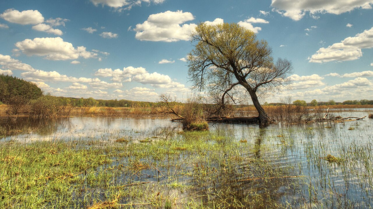 Погодні гойдалки та паводки: прогноз для України на кінець березня - фото з відкритих джерел