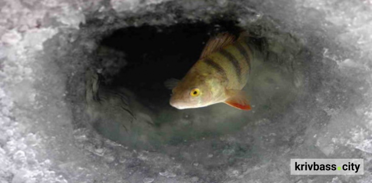 фото пресслужби Дніпропетровської ОВА