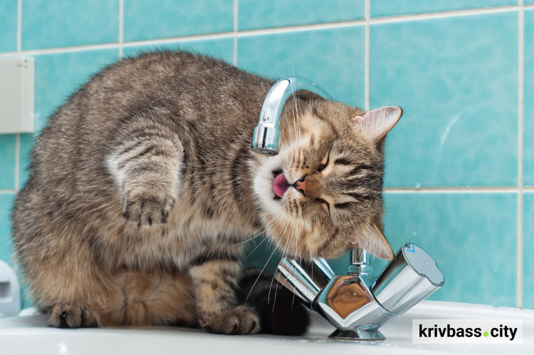 Криворіжцям нагадали, як використовувати воду у разі тривалої відсутності централізованого питного водопостачання