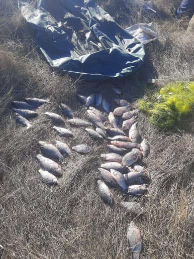 Надурив державу на 80 тисяч гривень: на Дніпропетровщині чоловіка судитимуть за незаконний вилов риби