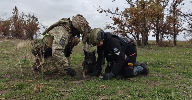 Рятуй життя разом із «Антарєс»: набір до пошуково-рятувальної кінологічної групи триває