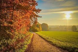 Погода на тиждень - фото ілюстративне з відкритих джерел  