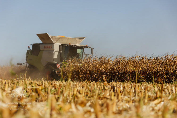 Жнива тривають: на Дніпропетровщині аграрії зібрали рекордний урожай 