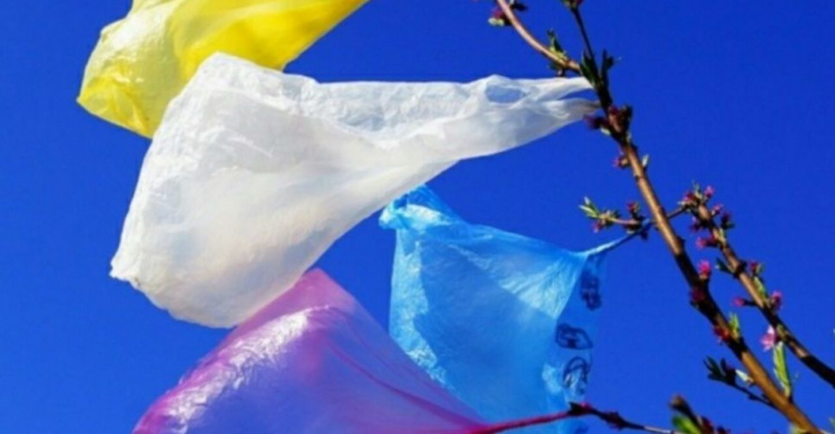 Борьба с отходами: в Украине могут запретить полиэтиленовые пакеты