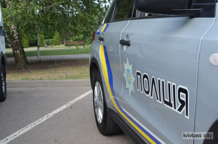 Гранати та близько 30 набоїв: у Кривому Розі поліція затримала зловмисника