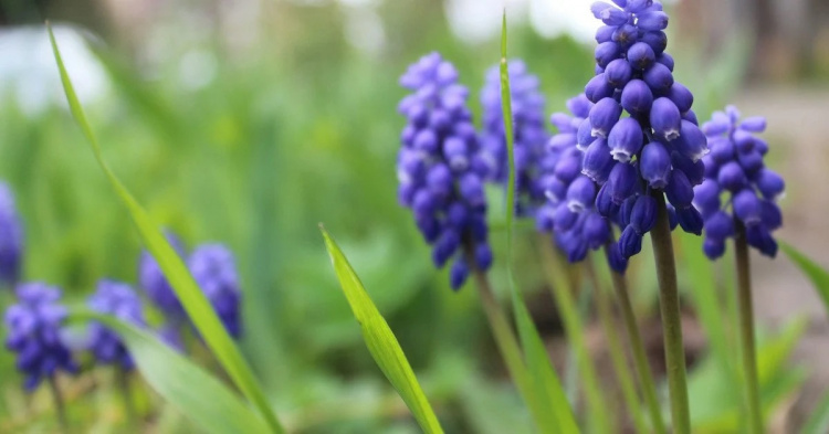 Погода в Україні різко змінюється: правда про спеку, заморозки і дощі - фото з відкритих джерел