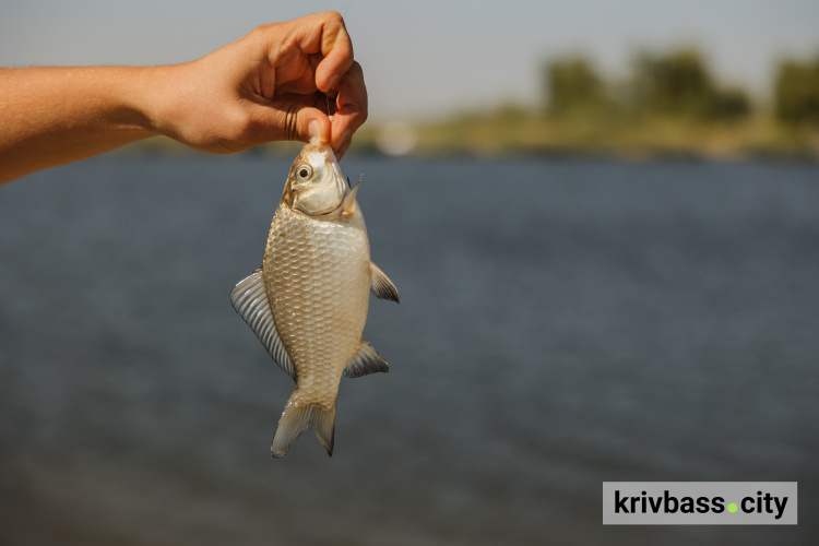 Клювало добре: для ветеранів з громад Дніпропетровщини організували змагання з риболовлі