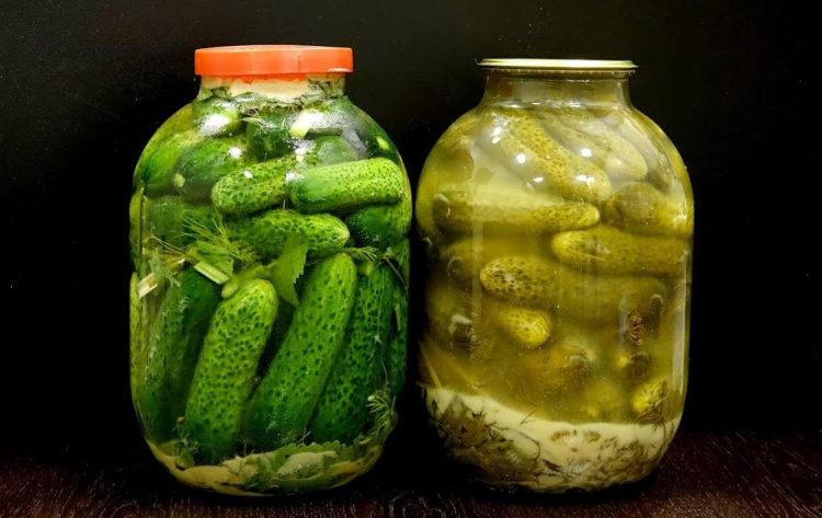 Секрети ідеальних солінь: що означає білий наліт на огірках - фото з відкритих джерел