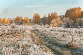 Фото з відкритих джерел      