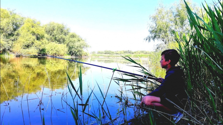Коли риба клює найкраще - фото з відкритих джерел