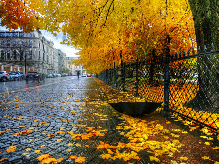 Фото з відкритих джерел    