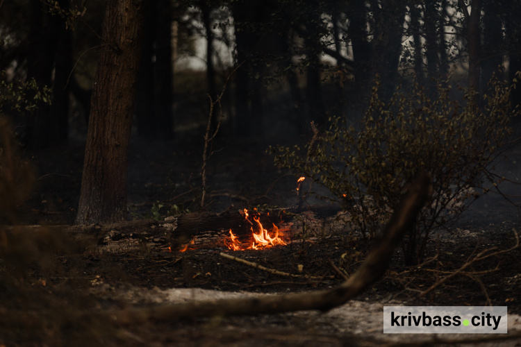 Екосистеми Дніпропетровщини палають, фото пресслужби Дніпропетровської ОВА