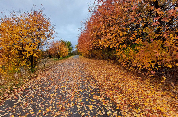 Погода на листопад - фото ілюстративне з відкритих джерел  