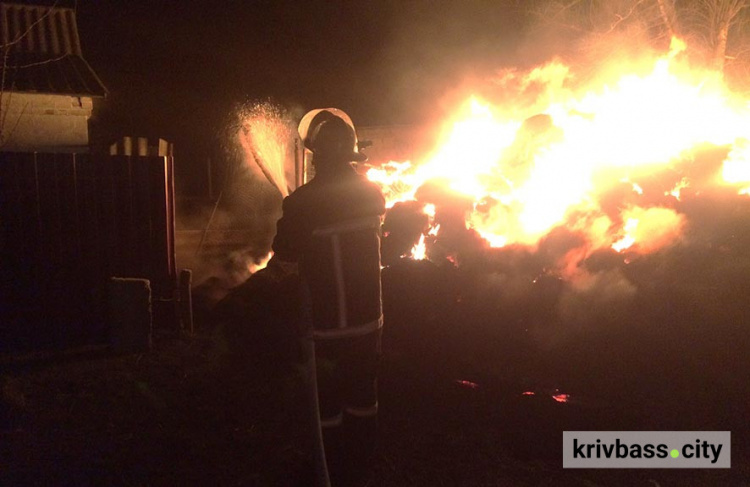 Кривава різанина на Криворіжжі: нападника застрелили правоохоронці