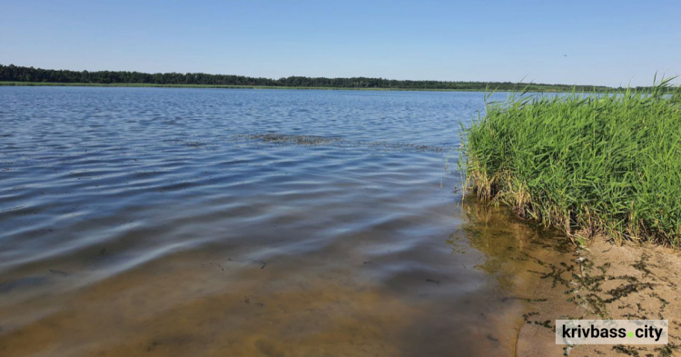 На Дніпропетровщині занепокоїлися обмілінням річок: що відомо