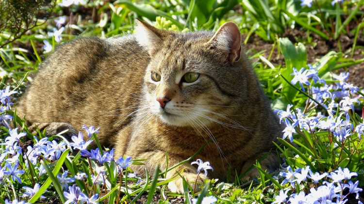 Сонячні вихідні в Україні: де буде найтепліше 14–15 березня
