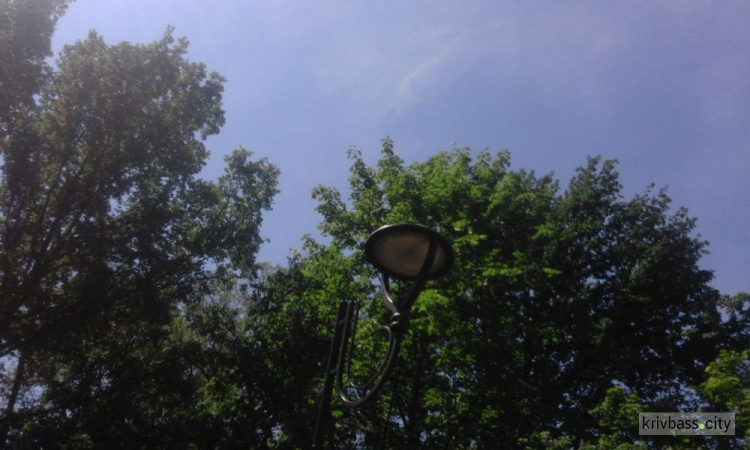 Альтанки, прореженные деревья, конопля: в Гданцевском парке Кривого Рога День открытых дверей