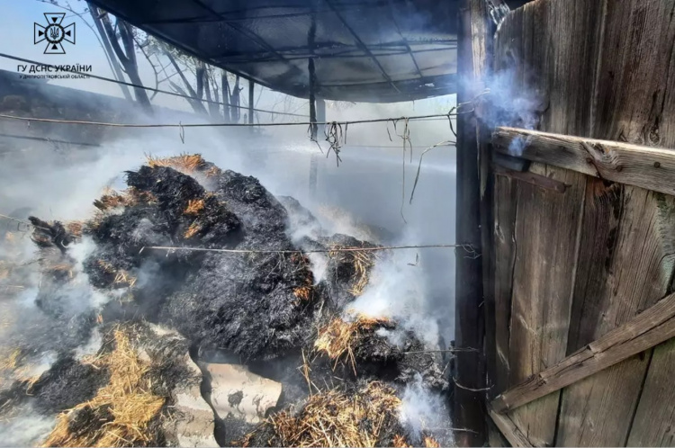 На Криворіжжі вогонь знищив тонну сіна, пожежу довелося гасити гуртом