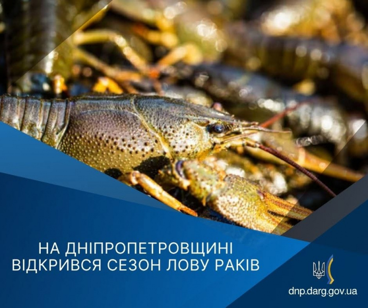 Сезон лову раків відкрито - фото Дніпропетровський рибоохоронний патруль