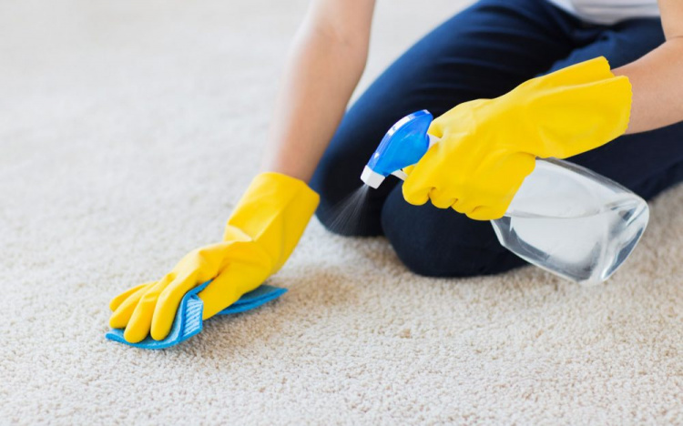 Корисні поради для швидкого видалення грибка з килимка у ванній: що потрібно зробити
