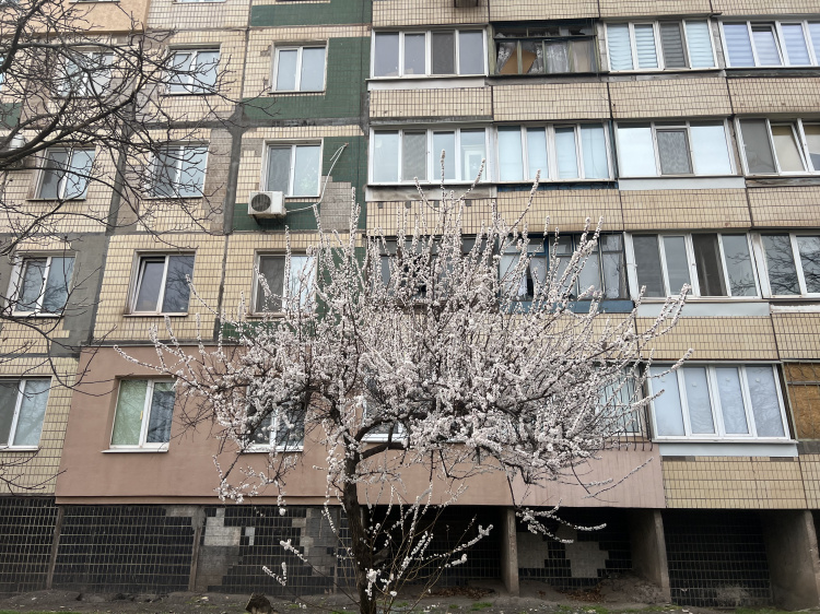 ШОК! Не залишилося жодного вцілілого вікна після ракетного обстрілу 29 березня - фото