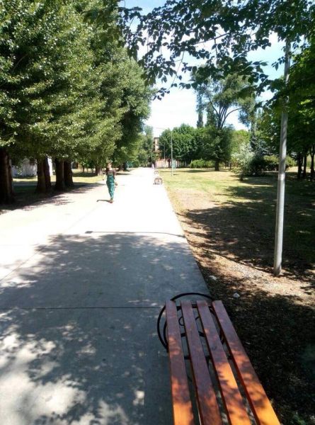 В одном из парков Кривого Рога установили новые лавочки (ФОТОФАКТ)