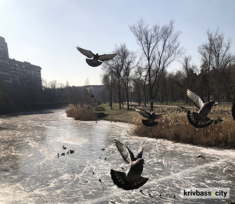 Криворізький вікенд: як провести весняні вихідні 7 та 8 березня 