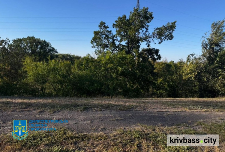 Хотіли вкрасти криворізький ліс: Апостолівській громаді повернули землі лісового фонду