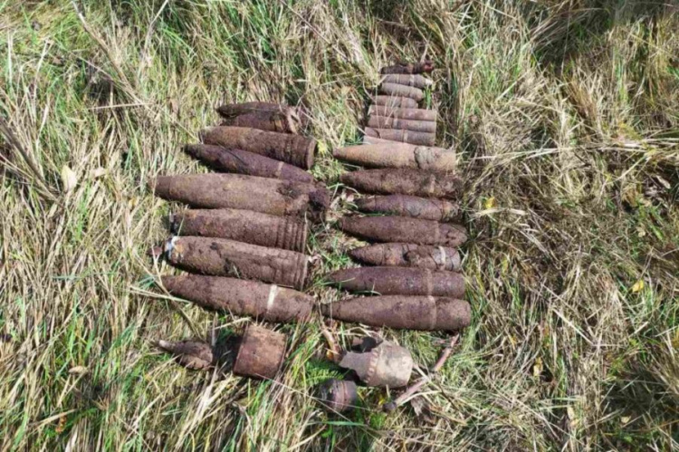 В Криворожском районе историко-поисковая организация обнаружила 28 боеприпасов (фото)