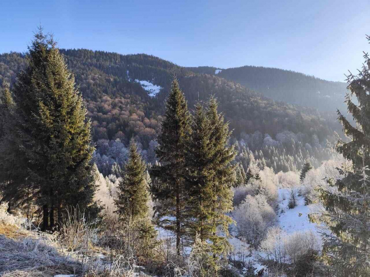 Антициклон над Україною: якою буде погода перших зимових вихідних