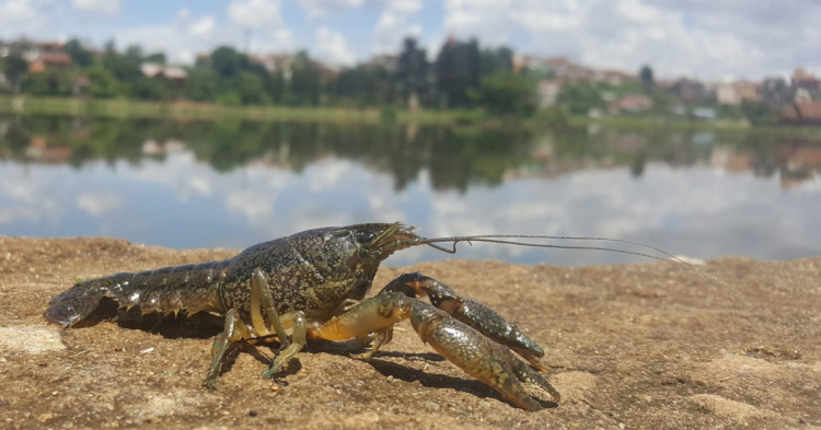 Фото з відкритих джерел