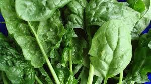 Шпинат - фото з відкритих джерел