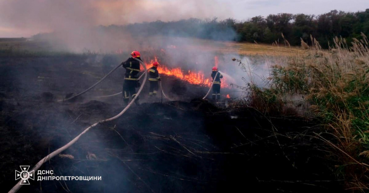 На Дніпропетровщині продовжують ліквідовувати пожежі: вогонь знищив 45 гектар екосистем