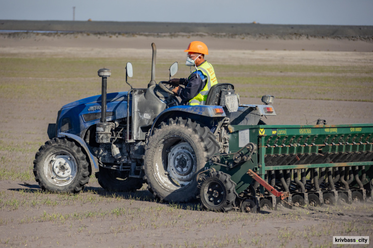 Весняні польові роботи: на ГЗК Метінвесту піклуються про посіви, висаджені для боротьби з пилоутворенням