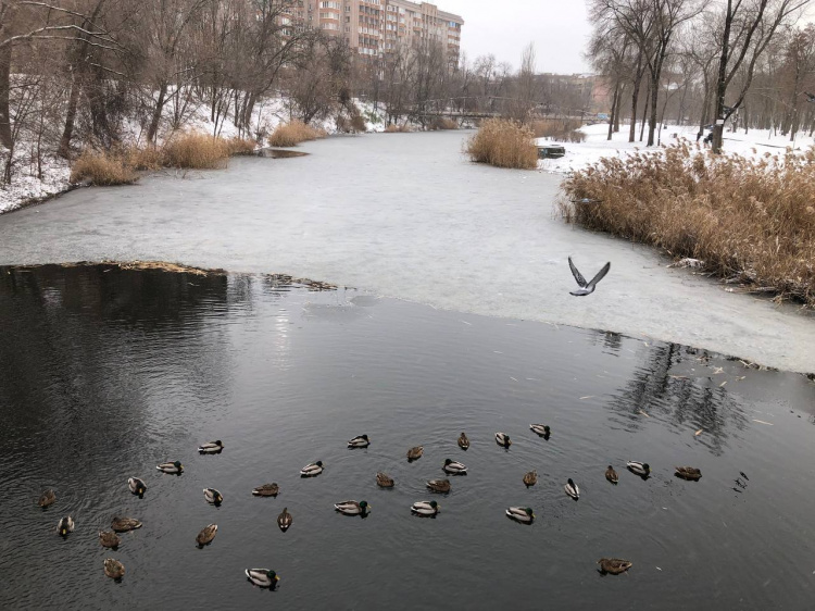 фото редакції krivbass.city