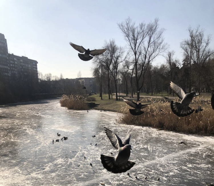 Криворізький вікенд: як провести весняні вихідні 7 та 8 березня