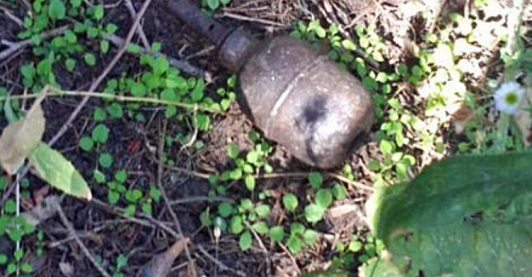 В одном из парков Кривого Рога прохожие обнаружили настоящую гранату (ФОТО)