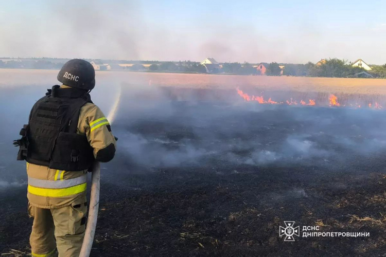 Пожежі в екосистемах - фото ДСНС Дніпропетровщини