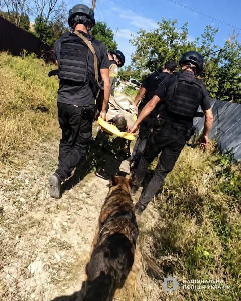 Зірвався з берега і не міг піднятися дві доби: на Криворіжжі врятували 69-річного чоловіка