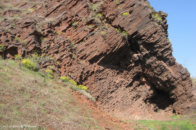 Це варто побачити: найпопулярніші екологічні маршрути Кривого Рогу для активного відпочинку