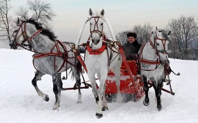 Веселощі та обряди Масниці 2026: що варто знати - фото з відкритих джерел