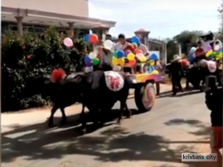 Свадебные буйволы: Необычное торжество молодожен во Вьетнаме (ФОТО+ВИДЕО)