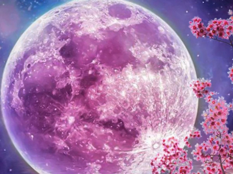Рожева повня: час відпустити зайве і почати новий етап - фото з відкритих джерел