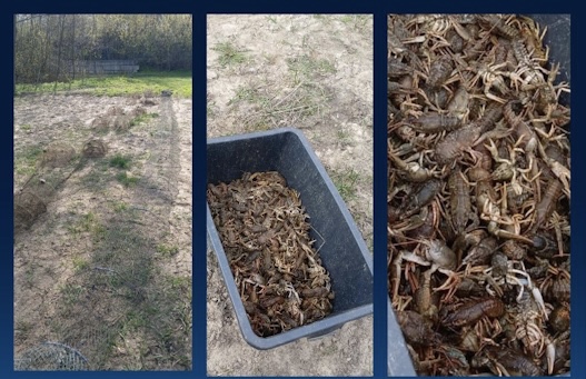 Фото Дніпропетровського рибоохоронного патрулю