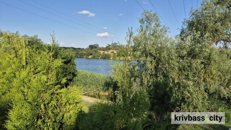 Відпочинок біля води може обернутися лікарнею: де у Кривому Розі знайшли холероподібний вібріон
