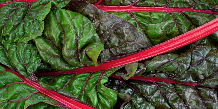 Суперфуд з грядки: що приховує бурякове листя - фото з відкритих джерел